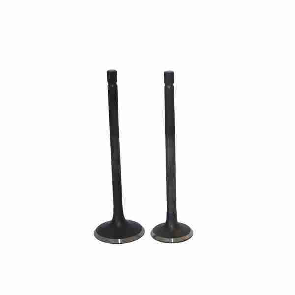 VALVULAS ADM ESC P/Y YBR-125